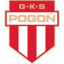 Pogon Grodzisk M.